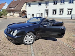 Bild des Angebotes Mercedes-Benz 230 Caprio