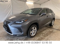 Bild des Angebotes Lexus NX 300 LED Navi Vollleder 17" Kamera Klimaaut