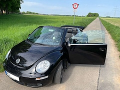 Bild des Angebotes VW New Beetle New Beetle Cabriolet 1.6