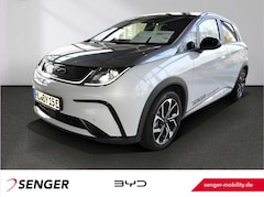 Bild des Angebotes BYD Dolphin Design Panorama 360°-Kamera Keyless LED
