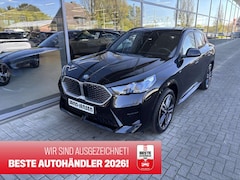 BMW iX2 eDrive20 M Sport Premium AHK Driveass+ ACC