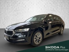 Bild des Angebotes Skoda Octavia Combi 1.0 TSI Schalt - Tour