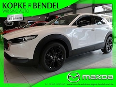 Bild des Angebotes Mazda CX-30 2.5L *140PS*SITZHEIZUNG*EL. HECKKLAPPE* HOMURA*18"