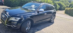 Bild des Angebotes Audi SQ5 SQ5 3.0 TDI quattro tiptronic
