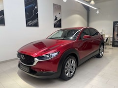 Bild des Angebotes Mazda CX-30 2.0L e-SKYACTIV G, Bose, 360 Grad, Navigat