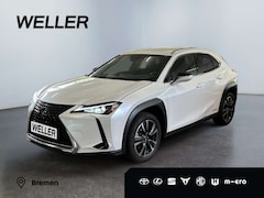 Bild des Angebotes Lexus UX 250h Style Edition *LED*CarPlay*CAM*Spurhalte