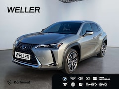 Lexus UX 250h Style Edition *Bi-LED*ACC*CAM*SHZ*CarPlay*