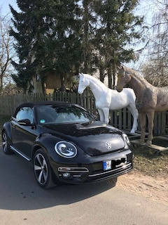 Bild des Angebotes VW Beetle VW Beetle Cabriole „SOUND Plus Paket“