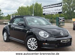 Bild des Angebotes VW Beetle Cabriolet Basis BMT*Navi*PDC*