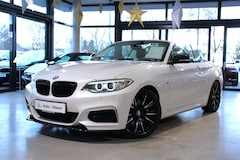 Bild des Angebotes BMW 240 xDrive (F23) *Bi-Xenon*HiFi*Memory*LHZ*SHZ