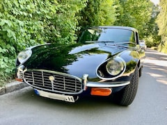 Bild des Angebotes Jaguar E-Type V12