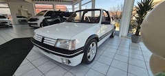 Bild des Angebotes Peugeot 205 1.9 CTI