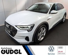 Bild des Angebotes Audi e-tron 55 quattro advanced 95kWh Assistenzpaket