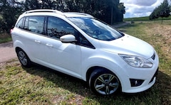 Bild des Angebotes Ford Grand C-Max 1.6 EcoBoost Trend