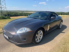 Bild des Angebotes Jaguar XK8 XK8 4.2l Cabrio TOP GEPFLEGT