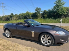 Bild des Angebotes Jaguar XK8 XK8 4.2l Cabrio TOP GEPFLEGT