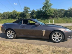 Bild des Angebotes Jaguar XK8 XK8 4.2l Cabrio TOP GEPFLEGT