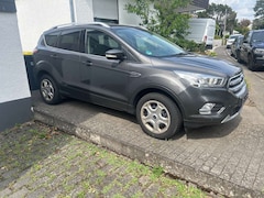 Bild des Angebotes Ford Kuga