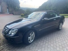 Bild des Angebotes Mercedes-Benz CLK 200 Cabrio Kompressor Avantgarde