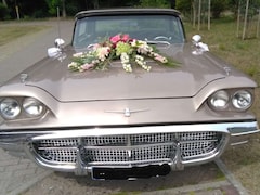 Bild des Angebotes Ford Thunderbird