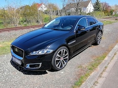 Bild des Angebotes Jaguar XJ XJ+3.0+V6+Diesel+XJ50