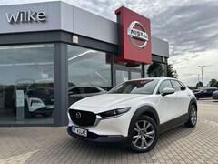 Bild des Angebotes Mazda CX-30 2.0 M Hy. 150 Selection 2WD/DES-P/PRE-P