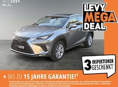 Bild des Angebotes Lexus NX 300 h E-Four Luxury 8FACH/AHK/4xSHZ