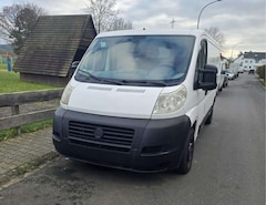 Bild des Angebotes Fiat Ducato Ducato L2 DPF 250.5C2.0 +288