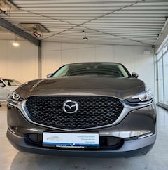 Bild des Angebotes Mazda CX-30 Selection 2WD *LED *Kamera *Navi *Winterp. *Allwet