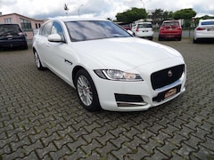 Bild des Angebotes Jaguar XF Pure Standheizung+Kamera+Navi+SHZ+1.Hand+Automatik