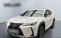Bild des Angebotes Lexus UX 250h Style Edition *Bi-LED*ACC*CAM*SHZ*CarPlay*