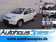Bild des Angebotes Fiat Panda 1.0 Mild Hybrid Base Klima DAB