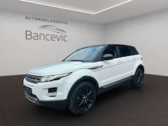 Bild des Angebotes Land Rover Range Rover Evoque Pure*Technikpaket*Xenon*Leder