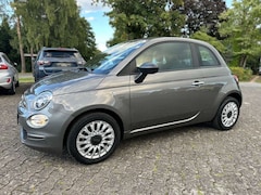 Bild des Angebotes Fiat 500 1.0 Mild-Hybrid CarPlay/Klima/Tempomat/Freisprech
