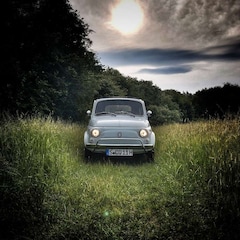 Bild des Angebotes Fiat 500L