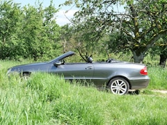Bild des Angebotes Mercedes-Benz CLK 350 CLK Cabrio 350 7G-TRONIC Avantgarde