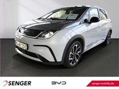 Bild des Angebotes BYD Dolphin Design Panorama 360°-Kamera Keyless LED