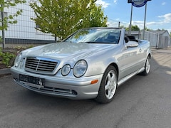 Mercedes-Benz CLK 55 AMG 5.5L V8 A208 Cabrio Avantgarde SHZ Designo Xenon