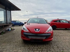 Peugeot 206 1.1 60 Generation, LPG, *TÜV neu*