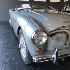 Bild des Angebotes Austin-Healey 100 100/4  BN1