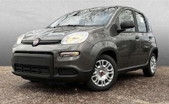 Bild des Angebotes Fiat Panda 1.0 GSE Hybrid