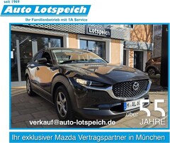 Bild des Angebotes Mazda CX-30 2.5L e-SKYACTIV G 140ps CX-30 Homura Navi, Sitzhei