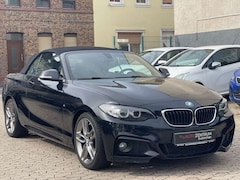 Bild des Angebotes BMW 220 Baureihe 2 Cabrio 220 i M Sport Paket