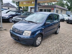Bild des Angebotes Fiat Panda 1.2 8V Dynamic