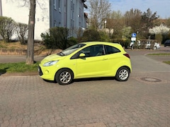 Bild des Angebotes Ford Ka/Ka+ Ka 1.2 Start-Stopp-System Trend