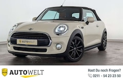 Bild des Angebotes MINI Cooper Cabrio Cabrio Cooper NAVI+LED+LEDER-CHESTER+PDC+SHZ+++