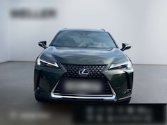 Bild des Angebotes Lexus UX 250h Executive Line *Bi-LED*el Sitze*Leder*HUD*