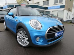 Bild des Angebotes MINI Cooper Cabrio Cooper Chili Color-Line PDC LED