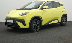 Bild des Angebotes BYD Dolphin SURF Comfort