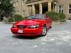 Bild des Angebotes Ford Mustang Leder